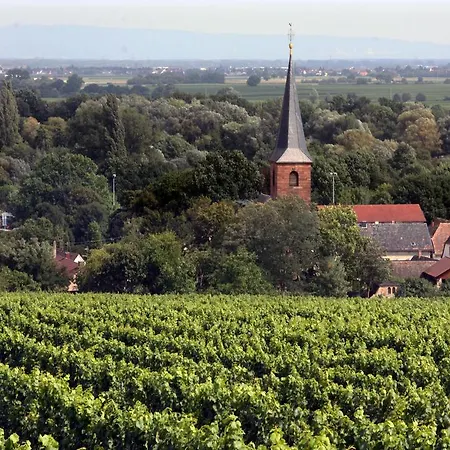 Weinstube Schwarzamsel * Speyer