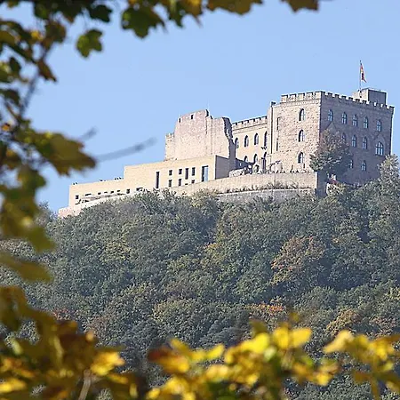 公寓 黑鸟酒吧公寓 *