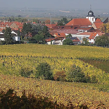 Weinstube Schwarzamsel Apartment *