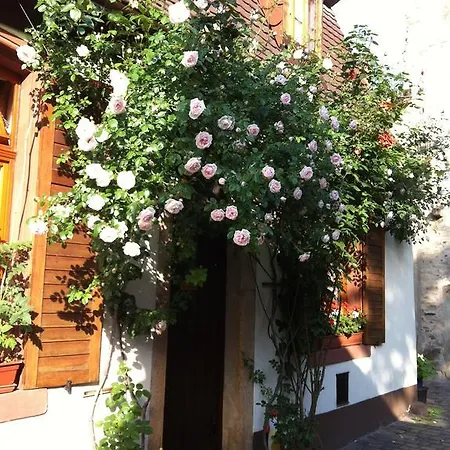 Weinstube Schwarzamsel Apartment Speyer