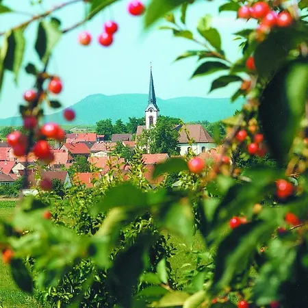 Weinstube Schwarzamsel * Speyer