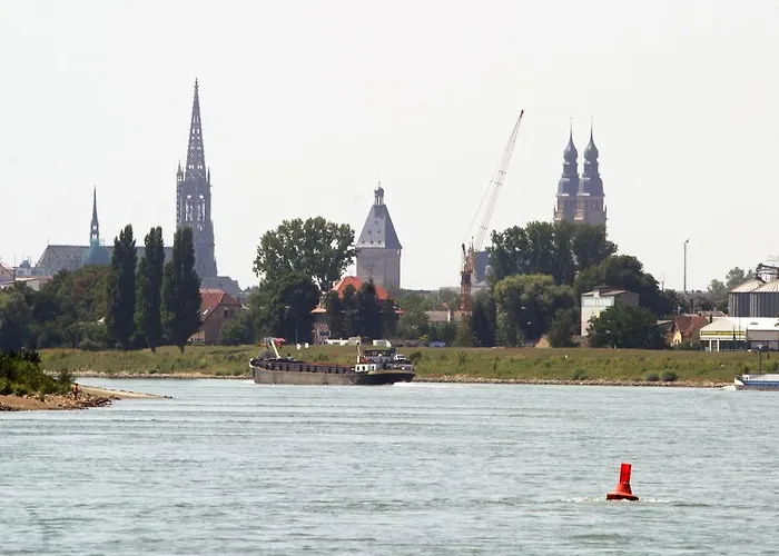 Weinstube Schwarzamsel שפייר