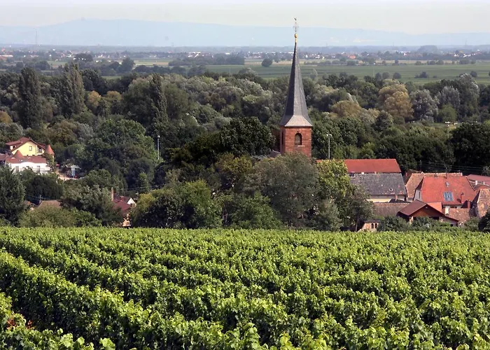 Weinstube Schwarzamsel * שפייר