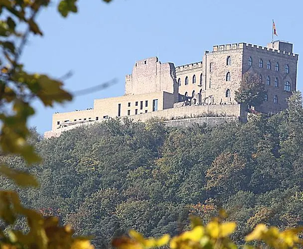 דירה Weinstube Schwarzamsel *