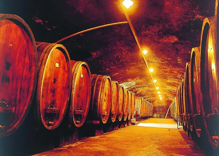 דירה Weinstube Schwarzamsel *