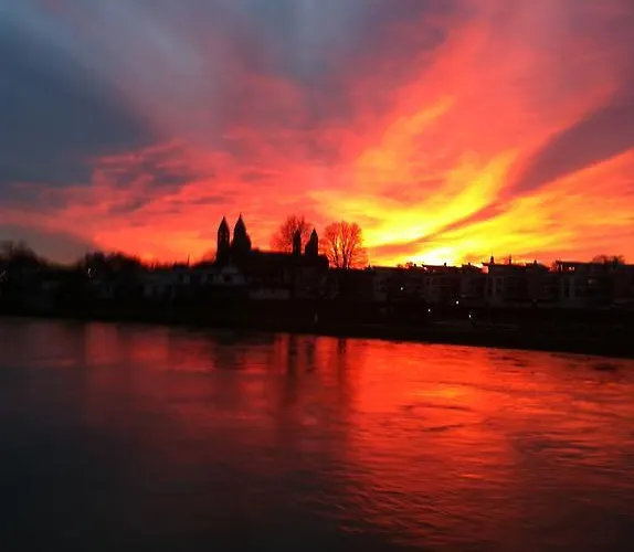 Weinstube Schwarzamsel