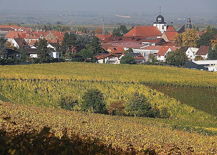 Weinstube Schwarzamsel דירה *