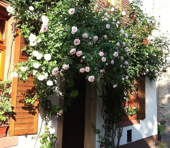 Weinstube Schwarzamsel דירה שפייר