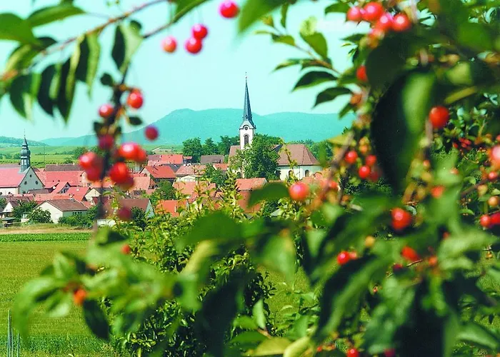 Weinstube Schwarzamsel * שפייר