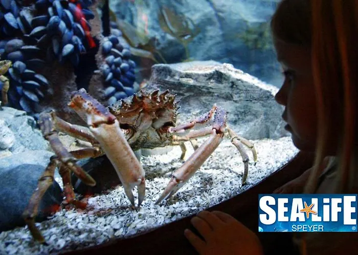 דירה Weinstube Schwarzamsel